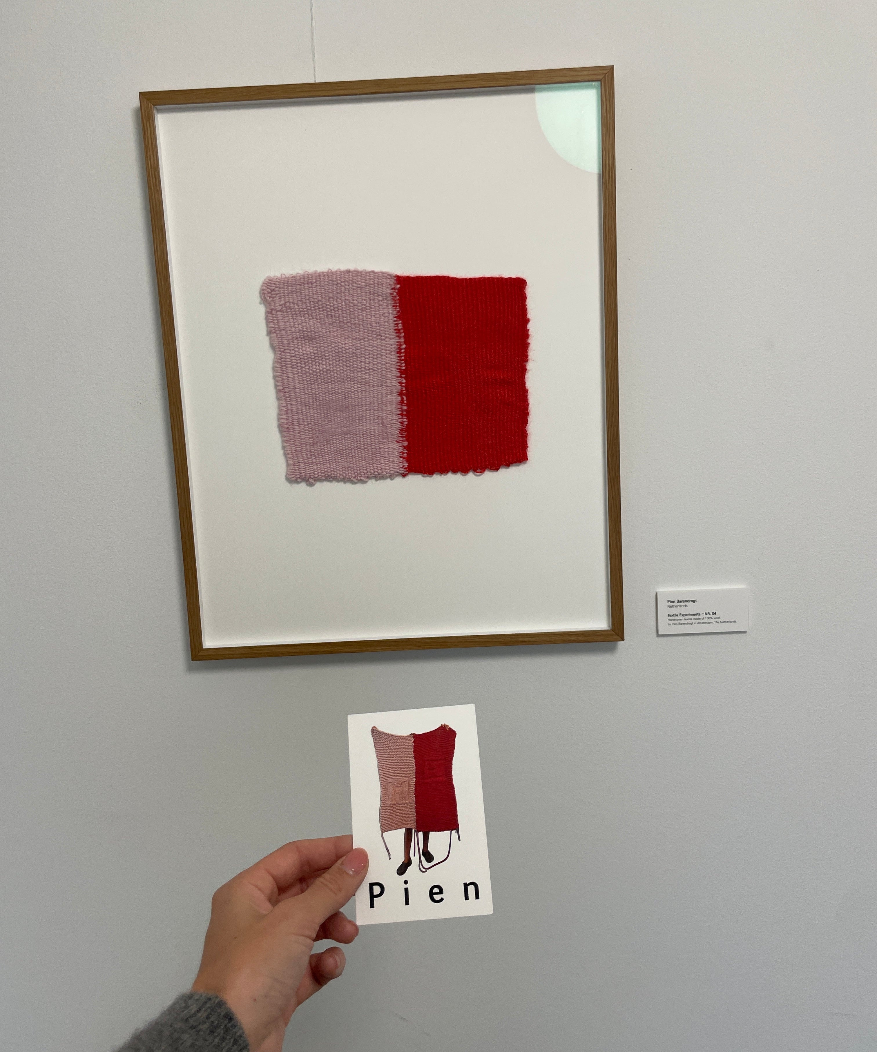 pien studios at shop amomento